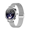 Load image into Gallery viewer, FITPRO Silver Steel FitPro™ Lady-Fit 2 Smartwatch
